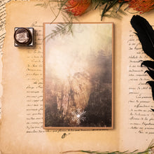 Carica l'immagine nel visualizzatore di Gallery, Scatola e portale dell'Angelo della FORESTA NEBULOSA in legno di pioppo, dipinto e vestito a mano, abito in misto lino scozzese, top marrone, cintura in velluto verde chiaro. Ricchissimo di accessori.